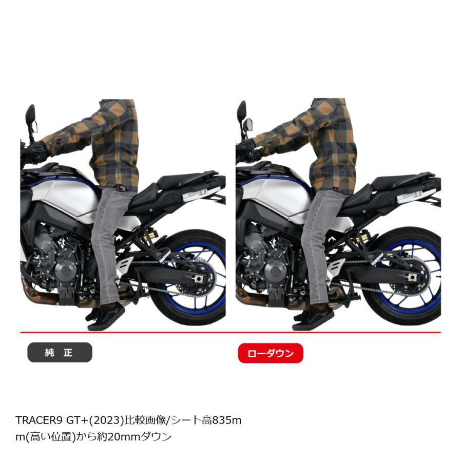 EFFEX (エフェックス) ローダウンコンプキット 20mmダウン TRACER9 GT+ 23 PHA385D-SET | EFFEX | 03