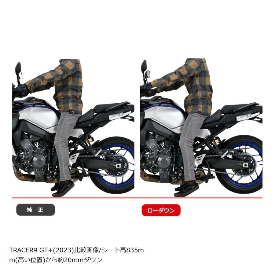 EFFEX (エフェックス) ローダウンコンプキット 20mmダウン TRACER9 GT+ 23 PHA385D-SET | EFFEX | 03