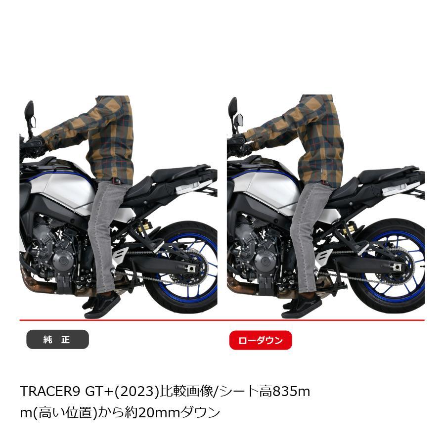 EFFEX (エフェックス) ローダウンキット 20mmダウン TRACER9 GT+ 23 PHA385D | EFFEX | 03