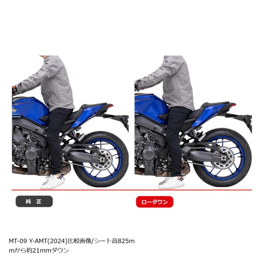 EFFEX (エフェックス) ローダウン ローダウンキット 21/24mmダウン MT-09/Y-AMT / XSR900GP  PHA386D | EFFEX | 02