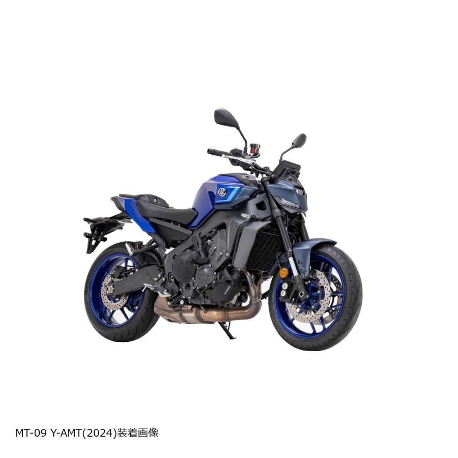 EFFEX (エフェックス) ローダウン ローダウンキット 21/24mmダウン MT-09/Y-AMT / XSR900GP  PHA386D | EFFEX | 03