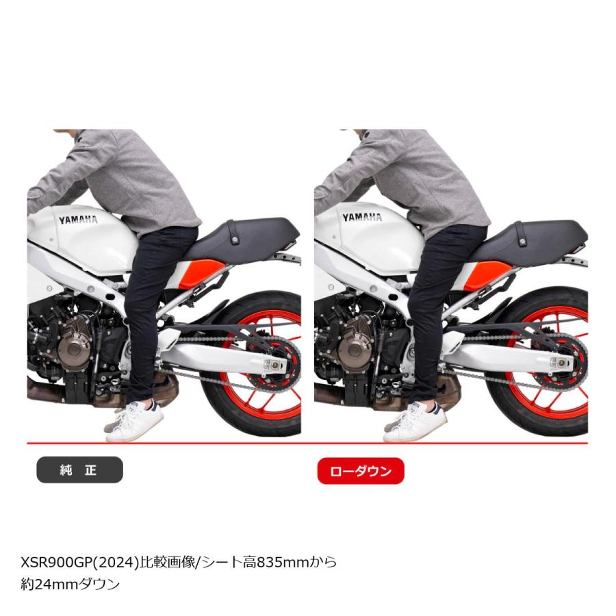 EFFEX (エフェックス) ローダウン ローダウンキット 21/24mmダウン MT-09/Y-AMT / XSR900GP  PHA386D | EFFEX | 06