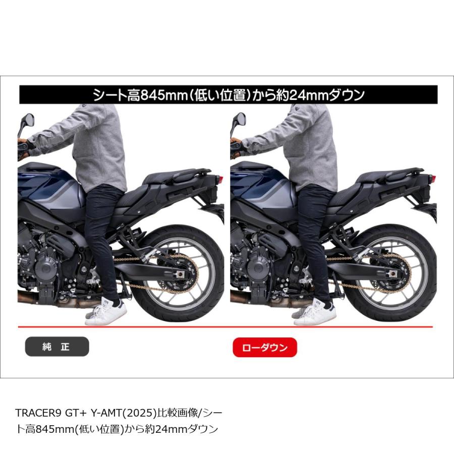 EFFEX (エフェックス) ローダウンCOMPキット 24mmダウン TRACER9 GT+ Y-AMT PHA390D-SET | EFFEX | 02