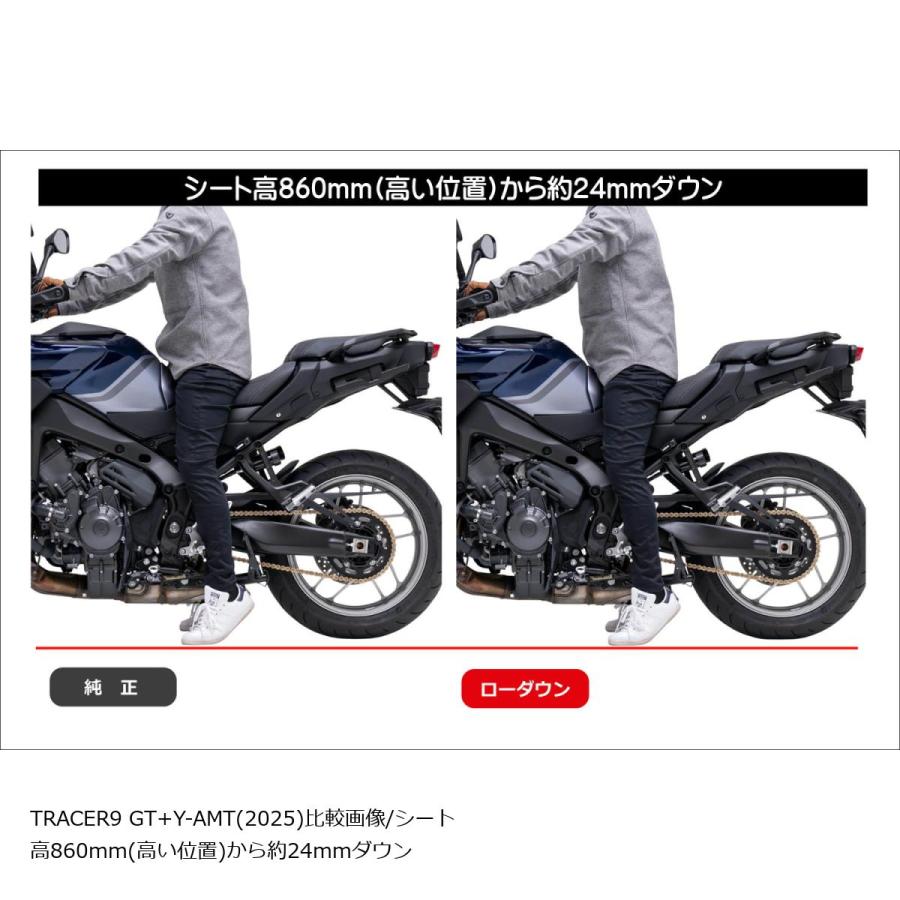 EFFEX (エフェックス) ローダウンCOMPキット 24mmダウン TRACER9 GT+ Y-AMT PHA390D-SET | EFFEX | 03