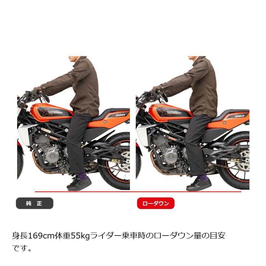 EFFEX (エフェックス) ローダウンキット 約15mmダウン X350 PHA912D | EFFEX | 02