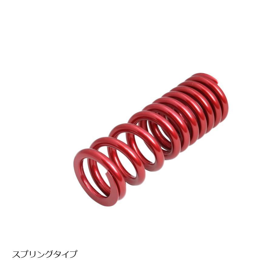 エフェックス ローダウンキット 約15mmダウン LEONCINO 250 21-22 PHAB001D | EFFEX