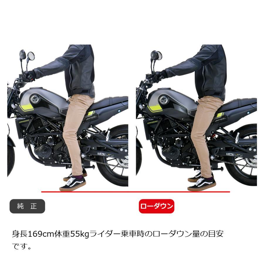 エフェックス ローダウンキット 約15mmダウン LEONCINO 250 21-22 PHAB001D | EFFEX | 01