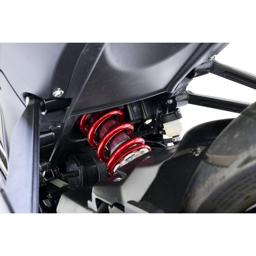 エフェックス ローダウンキット 約15mmダウン LEONCINO 250 21-22 PHAB001D | EFFEX | 03