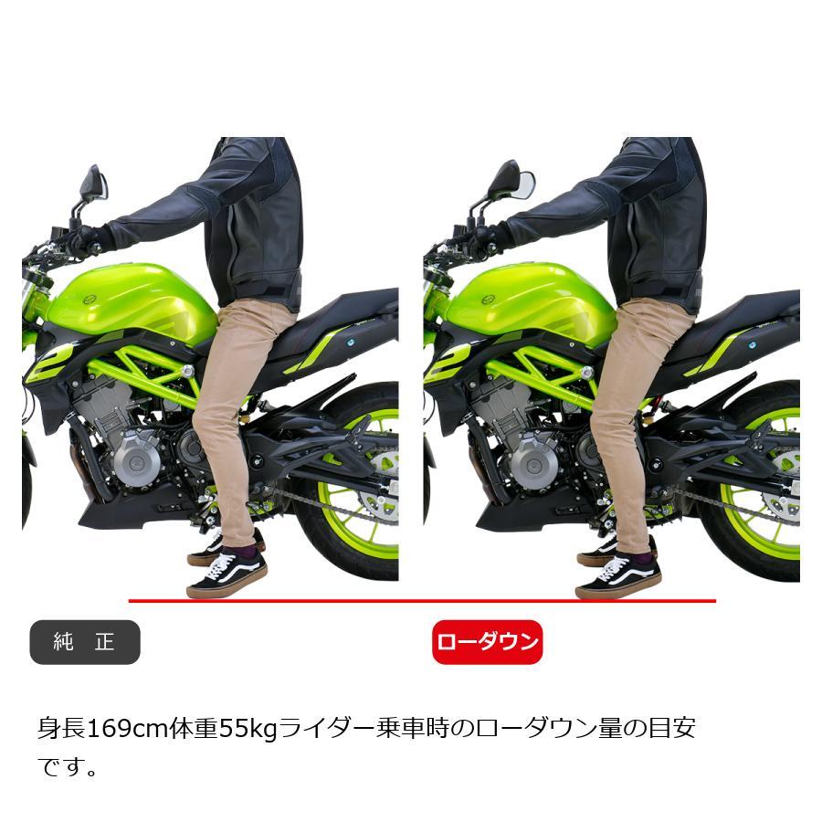 [特価品]エフェックス ローダウンキット 約15mmダウン TNT 249S 21-22 PHAB002D | EFFEX | 01