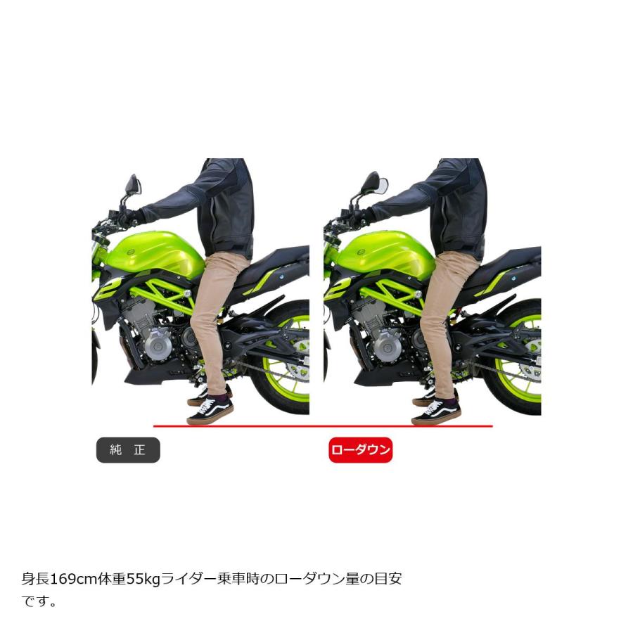 [特価品]エフェックス ローダウンキット 約15mmダウン TNT 249S 21-22 PHAB002D | EFFEX | 01