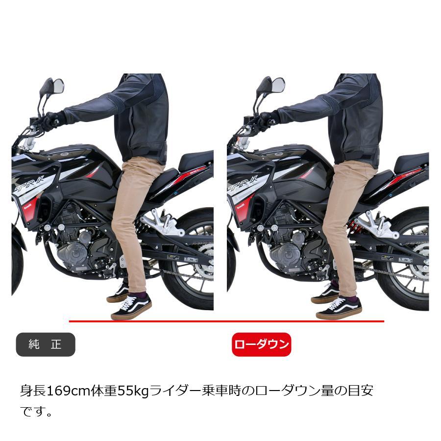 [特価品]エフェックス ローダウンキット 約17mmダウン TRK 251 21 PHAB003D | EFFEX | 01