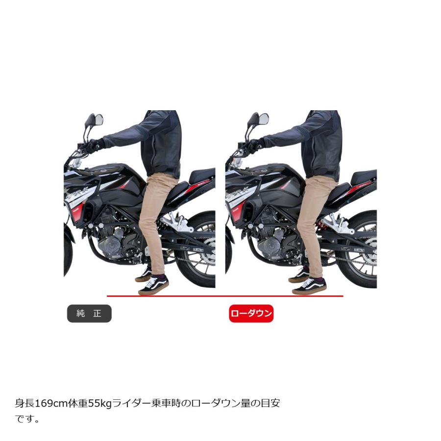 [特価品]エフェックス ローダウンキット 約17mmダウン TRK 251 21 PHAB003D | EFFEX | 01