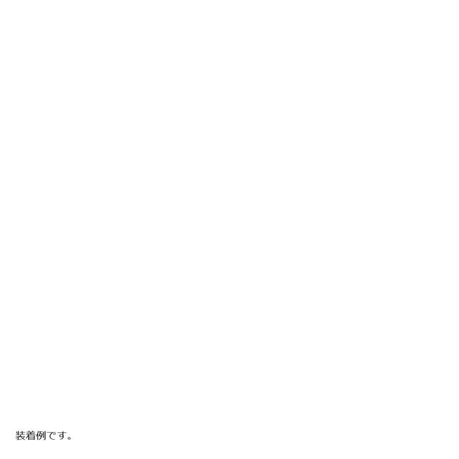 AF-ASAHI(エ-エフアサヒ アサヒフウボウ) ロングスクリーン ADV150 ADV-13 |  | 02