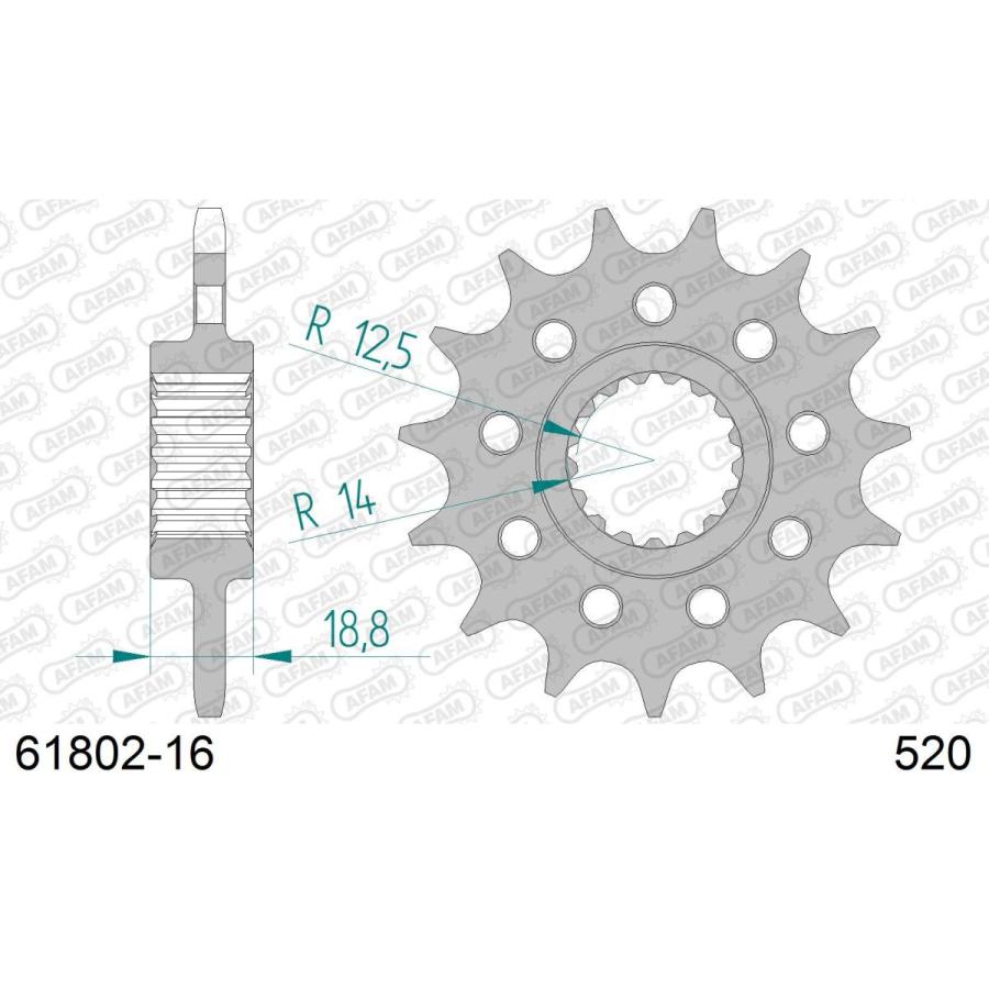 AFAM (アファム) Fスプロケット 520-16 1000 RSV4 R/FACTORY #520 09-10 61802-16 |  | 01