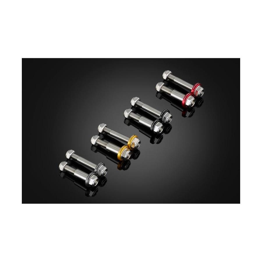 BIKERS (バイカーズ) レバー用 ステンレスボルト ブルー YZF-R25/MT-25 YZF-R15/R125 C0410-ブルー | BIKERS | 03