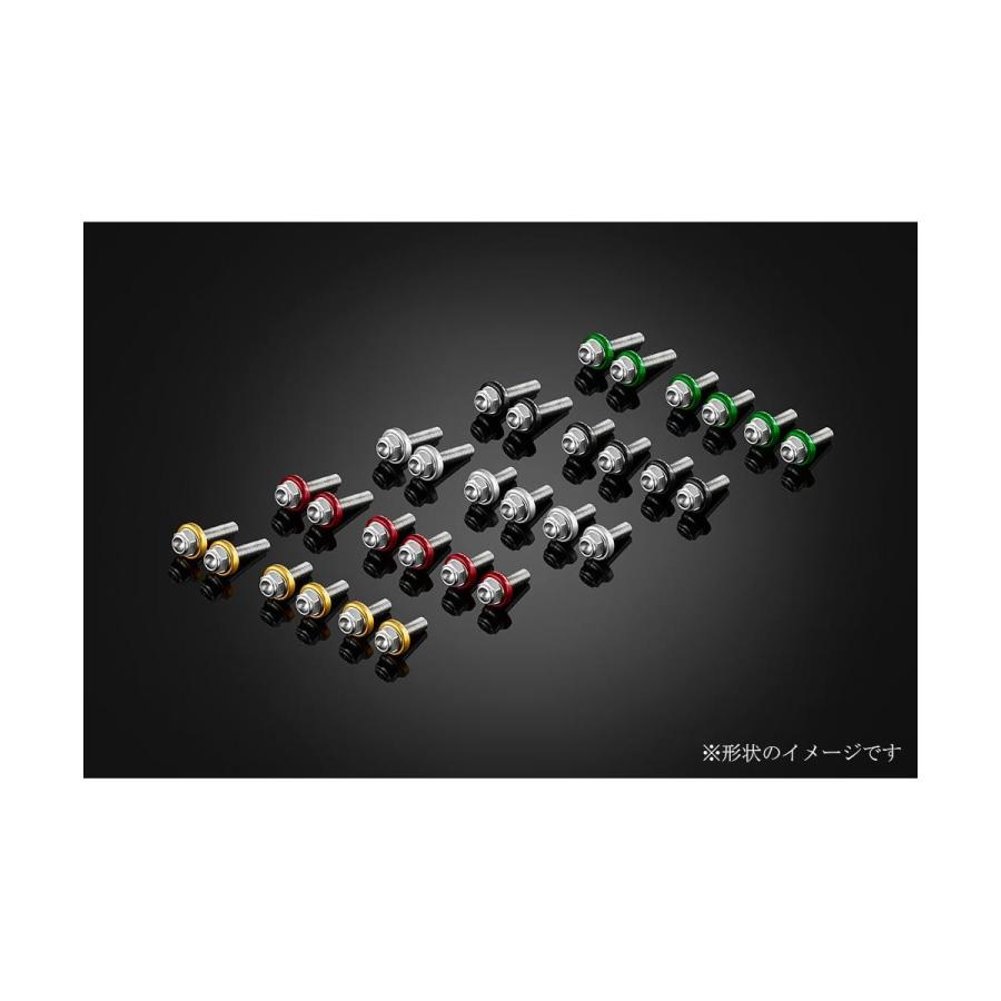 BIKERS (バイカーズ) スクリーン用 ステンレスボルト グリーン ZX-25R ZX-4R C0418-GRN | BIKERS | 04