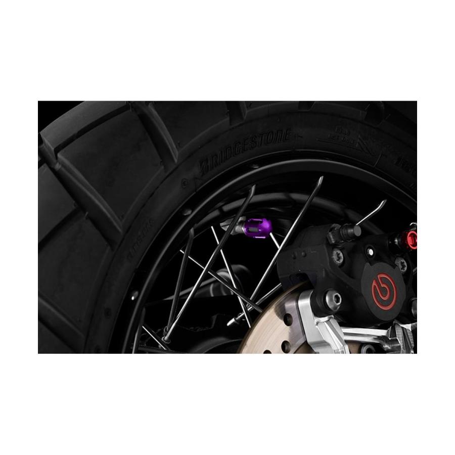 BIKERS (バイカーズ) エアバルブキャップ アルミ 2個 パープル Rebel250 ZX-25R Z900RS YZF-R25 15-24 C0950-PUR | BIKERS | 01