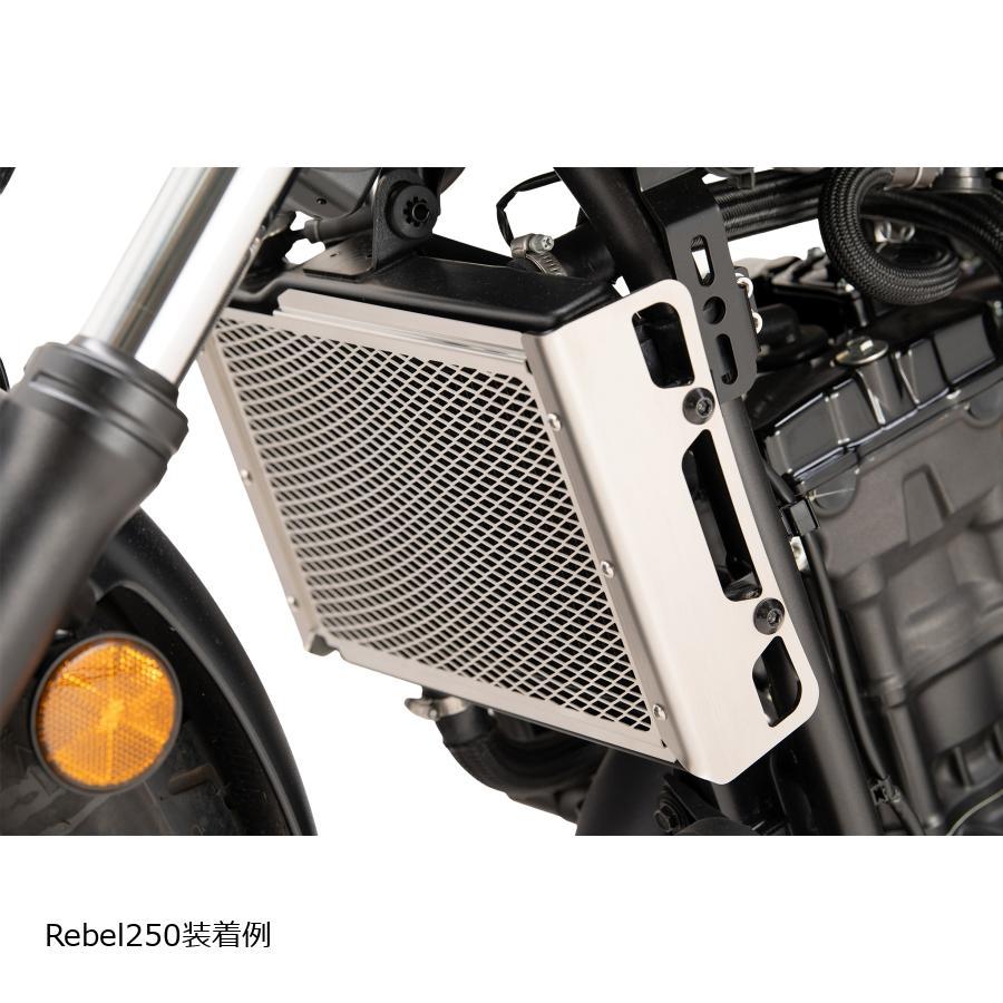 プロフェスト ラジエターコアガード Rebel250 17-25 CL250 23-25 PRG0055 | profest | 01