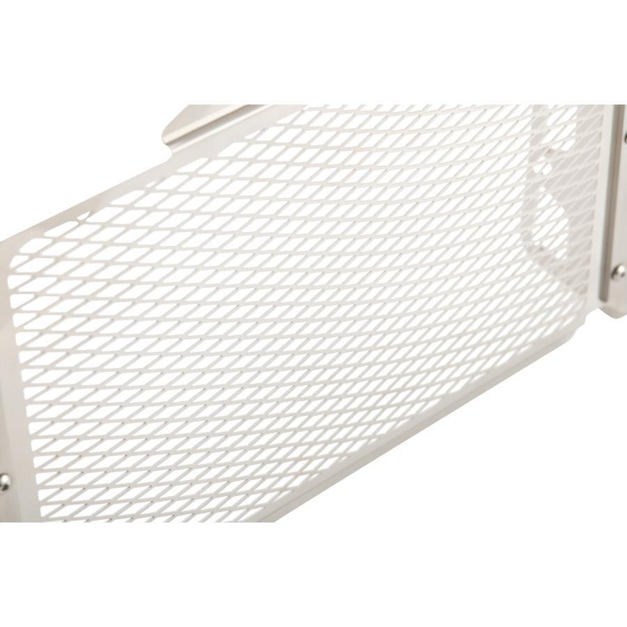 プロフェスト ラジエターコアガード Rebel250 17-25 CL250 23-25 PRG0055 | profest | 06