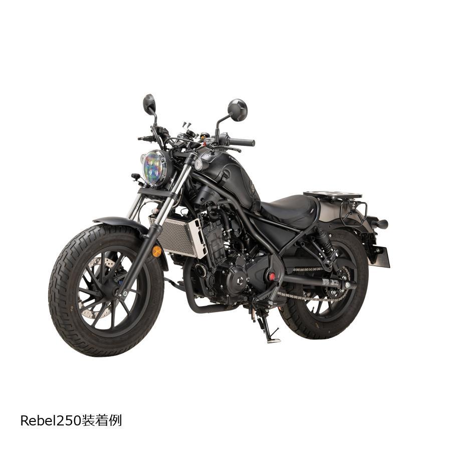 プロフェスト ラジエターコアガード Rebel250 17-25 CL250 23-25 PRG0055 | profest | 07