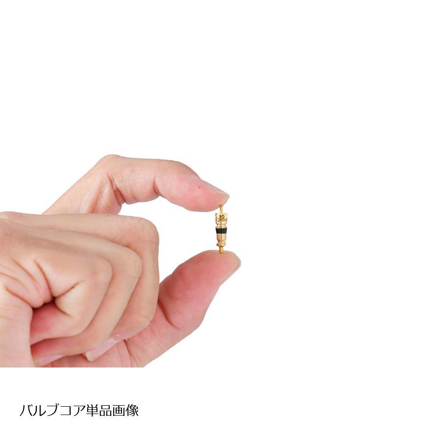 Plot (プロト) チューブレスエアバルブ ストレート/ショート 10個SET TR-412 スナップインタイプ 日本製 PGR0051 | plot | 07