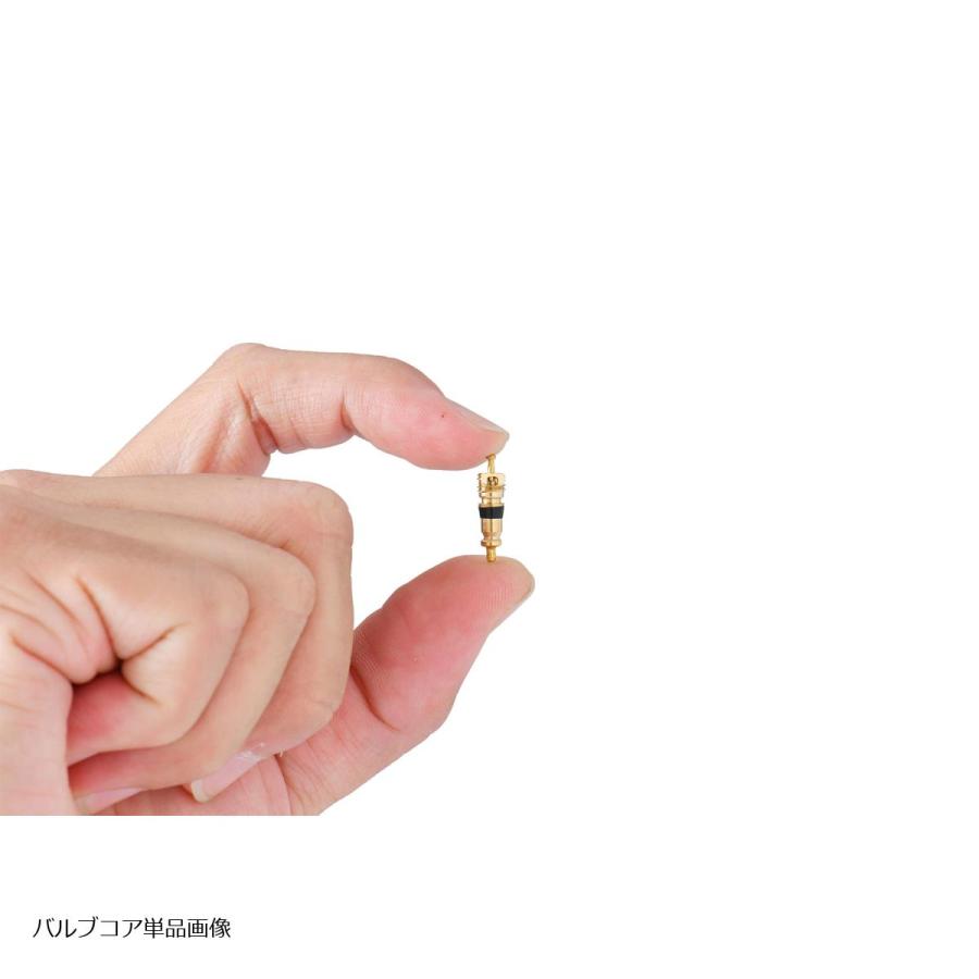 Plot (プロト) チューブレスエアバルブ ストレート/ショート 10個SET TR-412 スナップインタイプ 日本製 PGR0051 | plot | 07