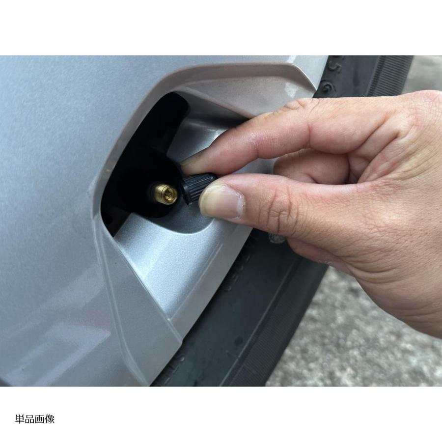 Plot (プロト) チューブレスエアバルブ ストレート/ロング 10個SET TR-413 スナップインタイプ 日本製 PGR0052 | plot | 04