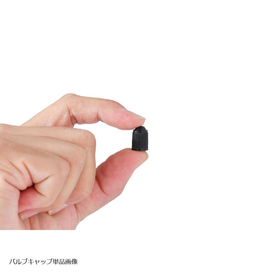 Plot (プロト) チューブレスエアバルブ ストレート/ロング 10個SET TR-413 スナップインタイプ 日本製 PGR0052 | plot | 06