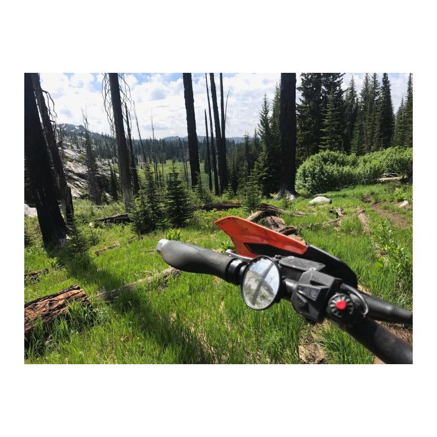 ダブルテイクミラー トレイルミラー 片側1個 左右共通 汎用 DTM-TM |  | 05