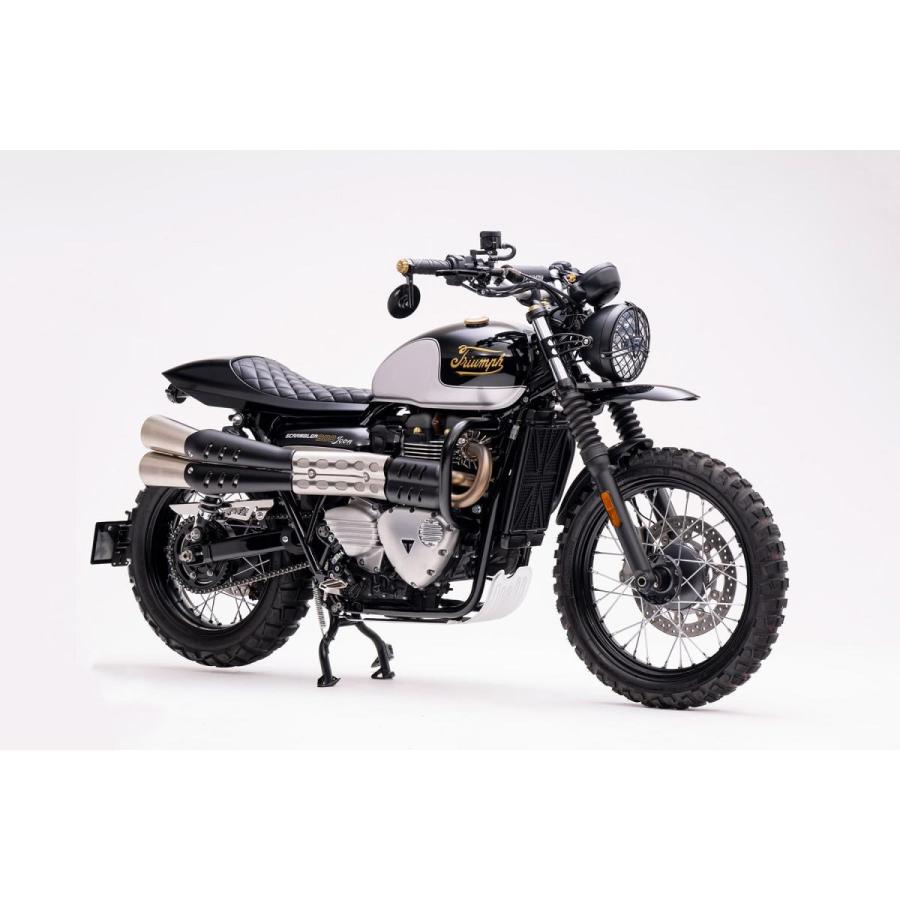 Motone(モートーン) チェーンガード TANTO ポリッシュ T100/T120 (16-25) SpeedTwin900 (16-24) スクランブラー Scrambler900 (17-25) CSS005 |  | 04