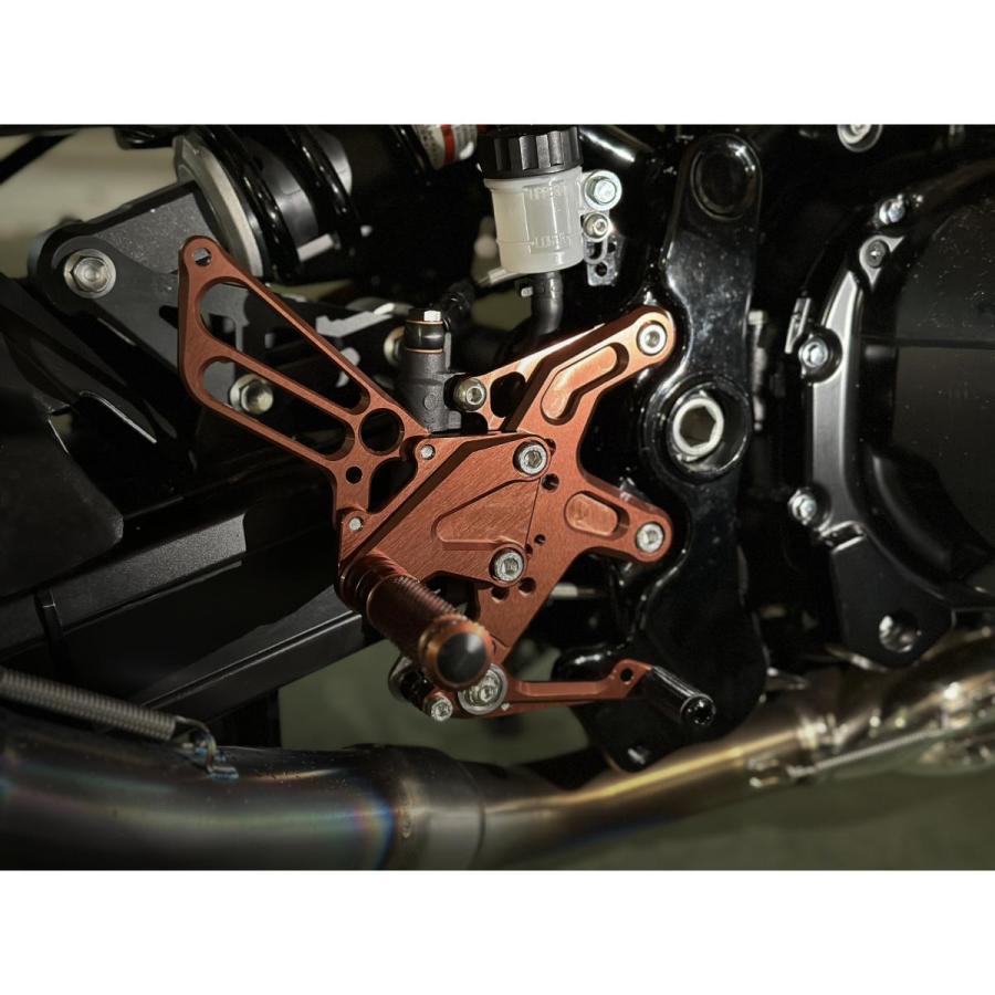 BabyFaceステップキット プロトブラウン Z900RS 002-K033PB | BAGSTER | 02