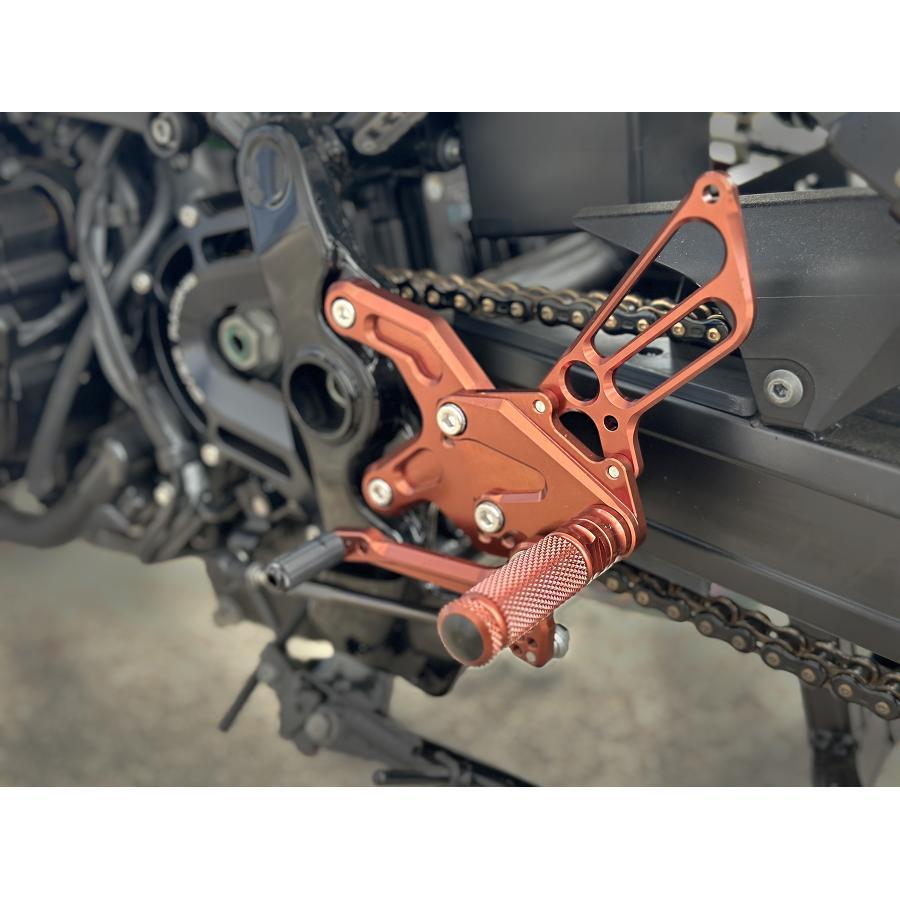 BabyFaceステップキット プロトブラウン Z900RS 002-K033PB | BAGSTER | 05