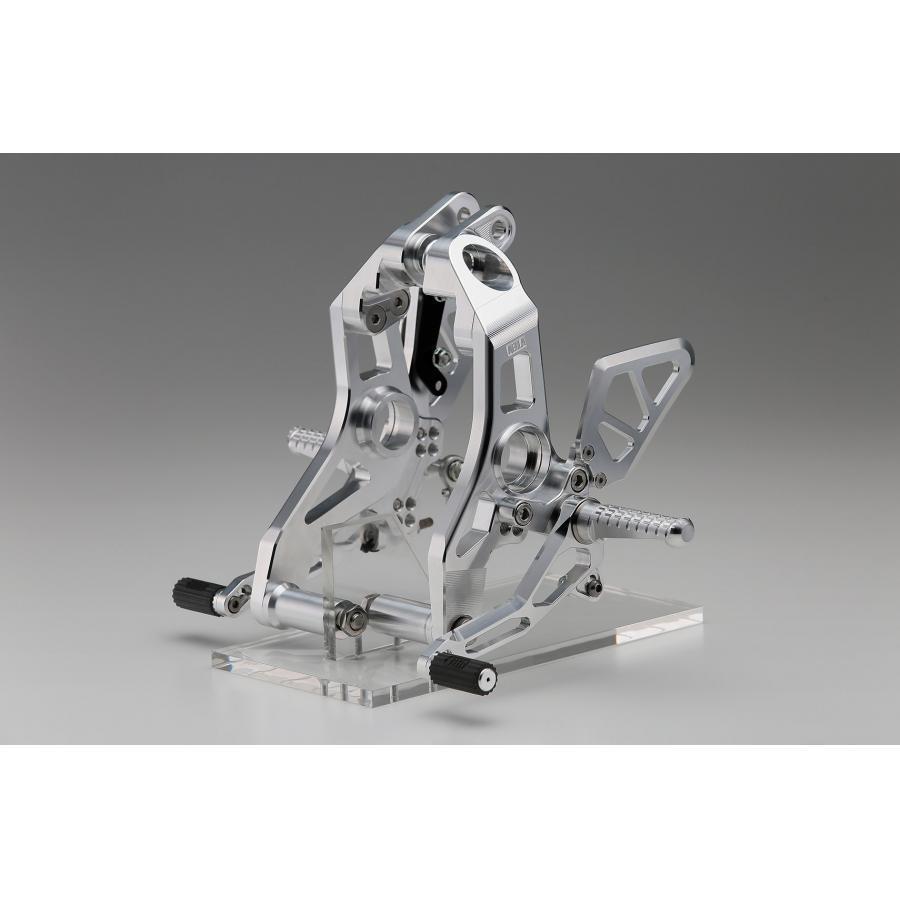 AELLA（アエラ） ライディングステップキット ポリッシュ モンスター