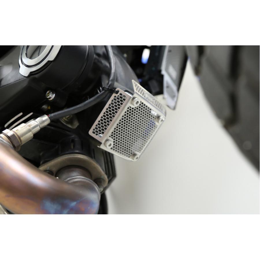 AELLA（アエラ） シリンダーヘッドプロテクター:ステンレス SCRAMBLER