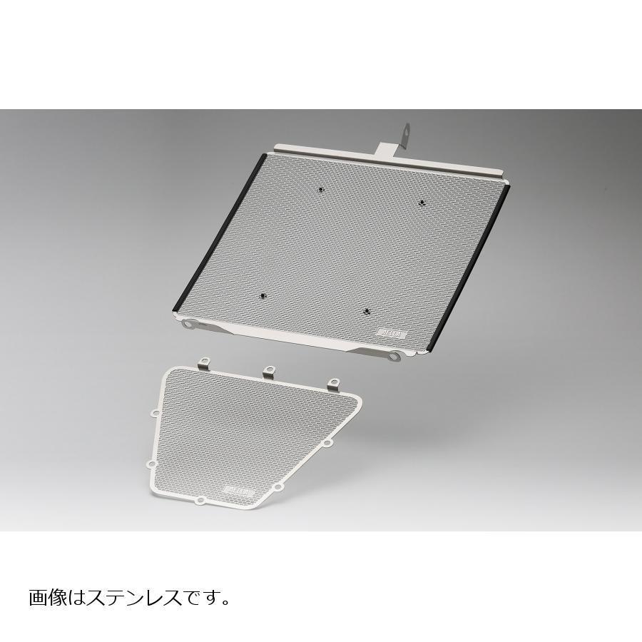 アエラ S1000RR ラジエター＆オイルクーラープロテクターセット