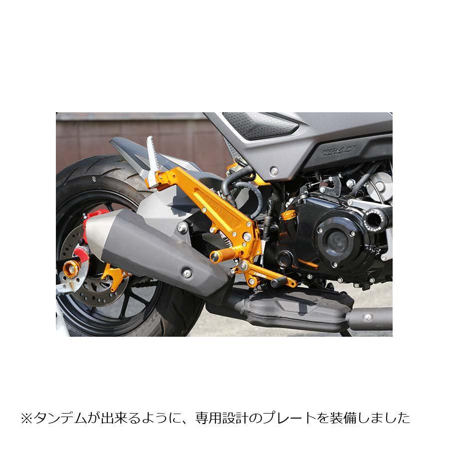 babyface（ベビーフェイス） バックステップキット ゴールド GROM