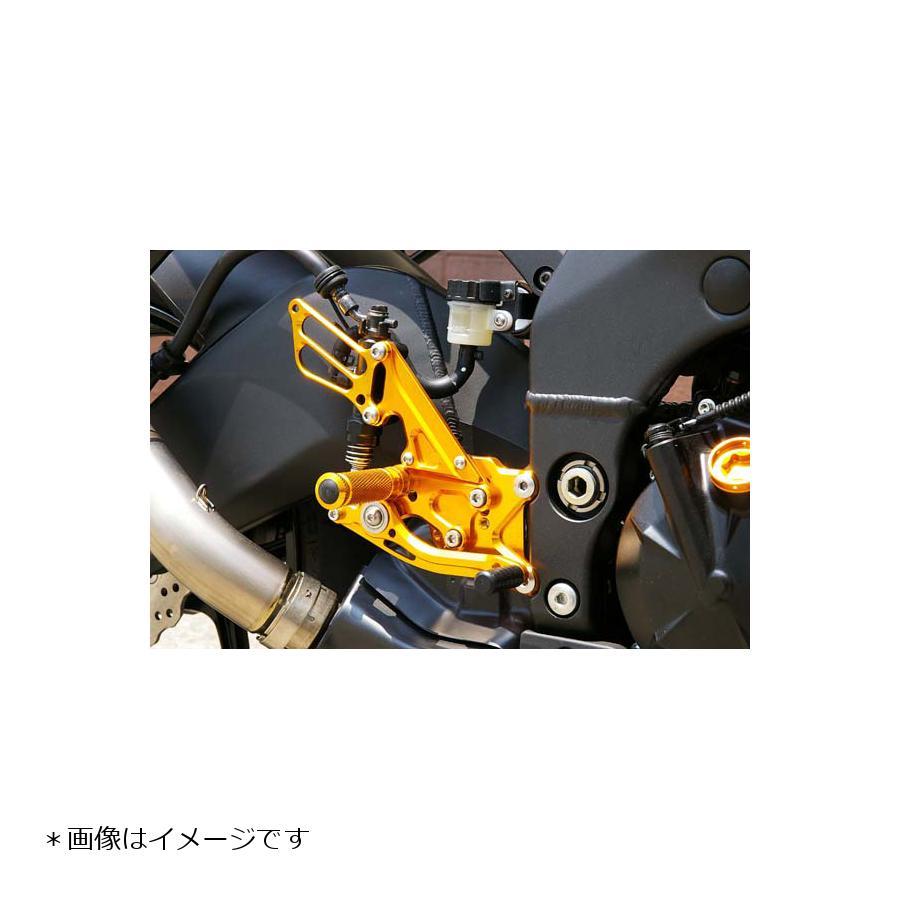 ZX10R 2016年式〜 Baby Face 金 バックステップ babyface（ベビーフェイス） バックステップ 11ポジション 正/逆