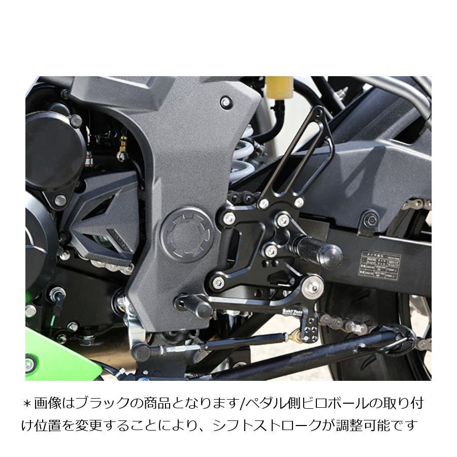 babyface（ベビーフェイス） バックステップ シルバー Ninja250 