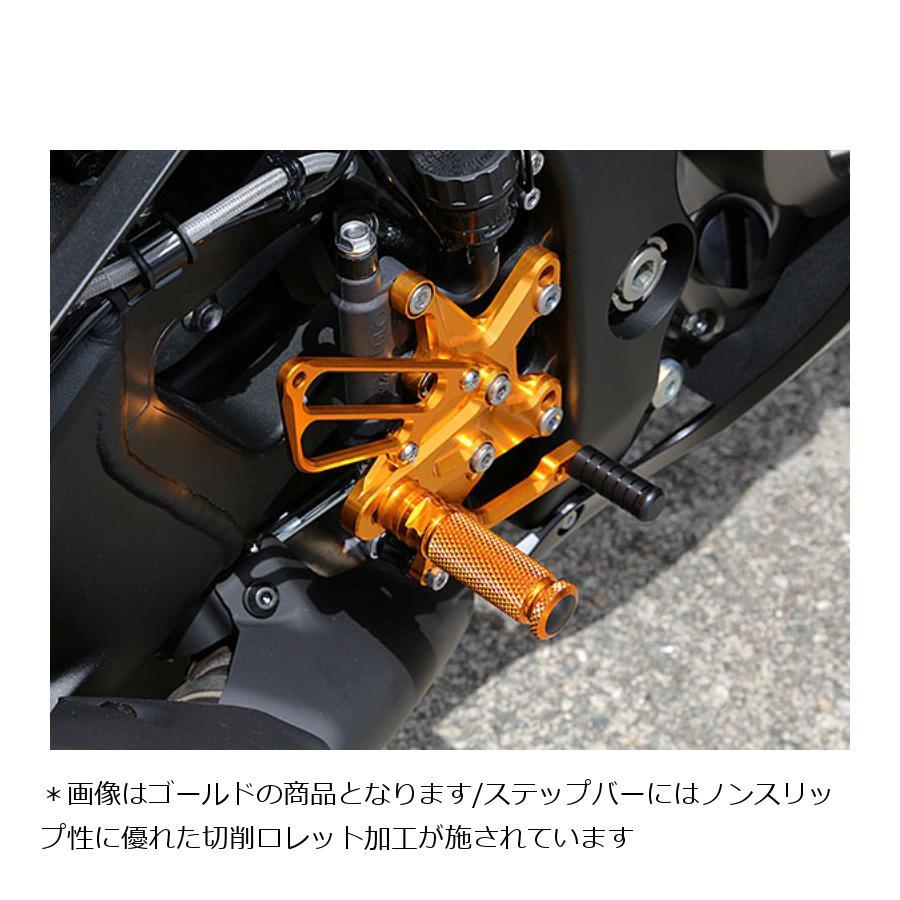 BABYFACE (ベビーフェイス) バックステップ シルバー ZX10R 002-K028SV