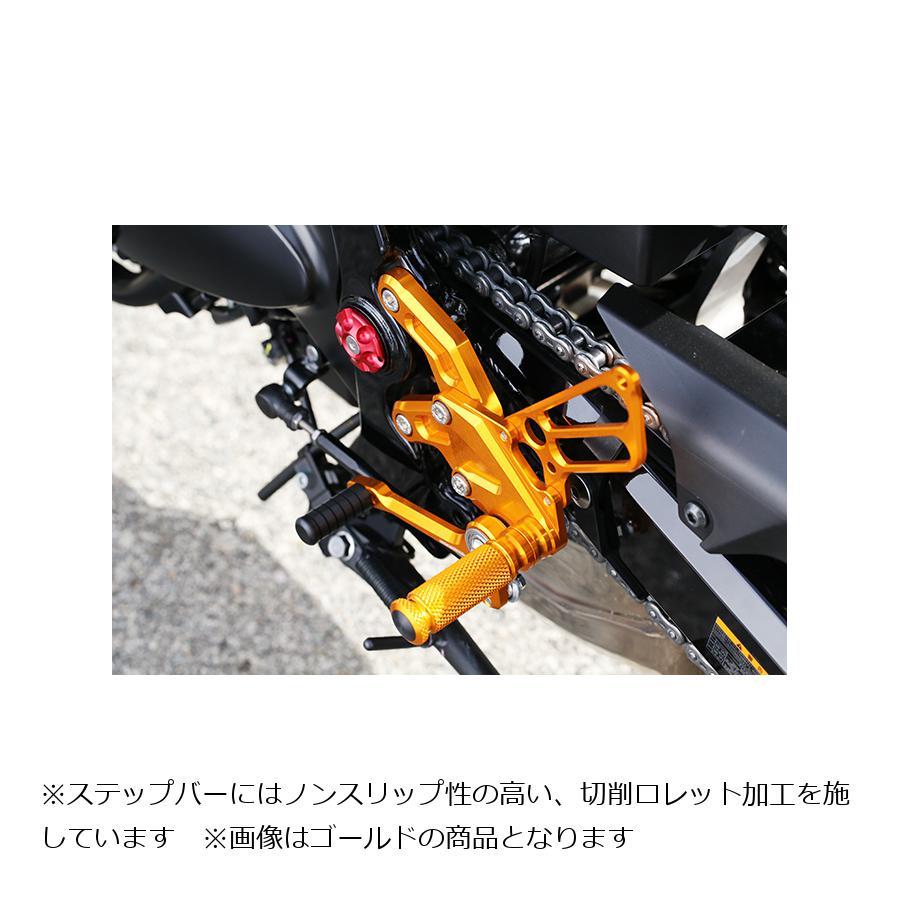 babyface（ベビーフェイス） バックステップキット シルバー Z900RS