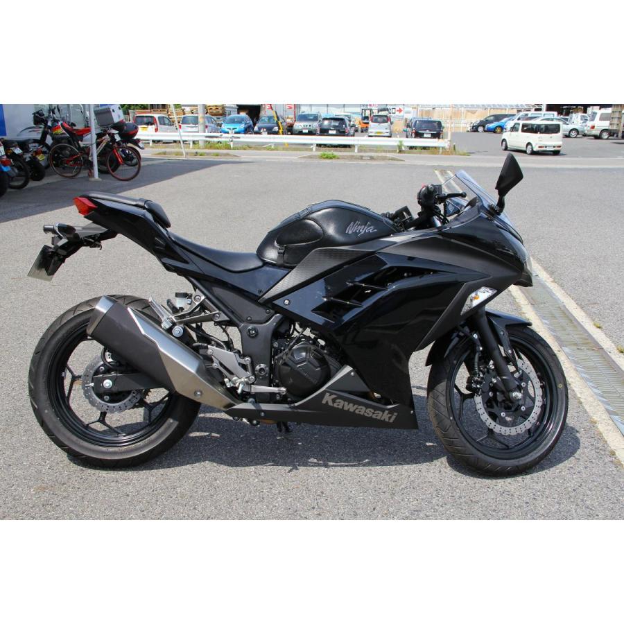 BAGSTER（バグスター） タンクカバー PVC(合皮) ブラック Ninja250
