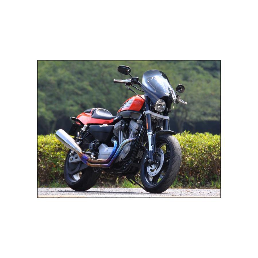 CHIC DESIGN（シックデザイン） GUYRAスポーツシールド スクリーン