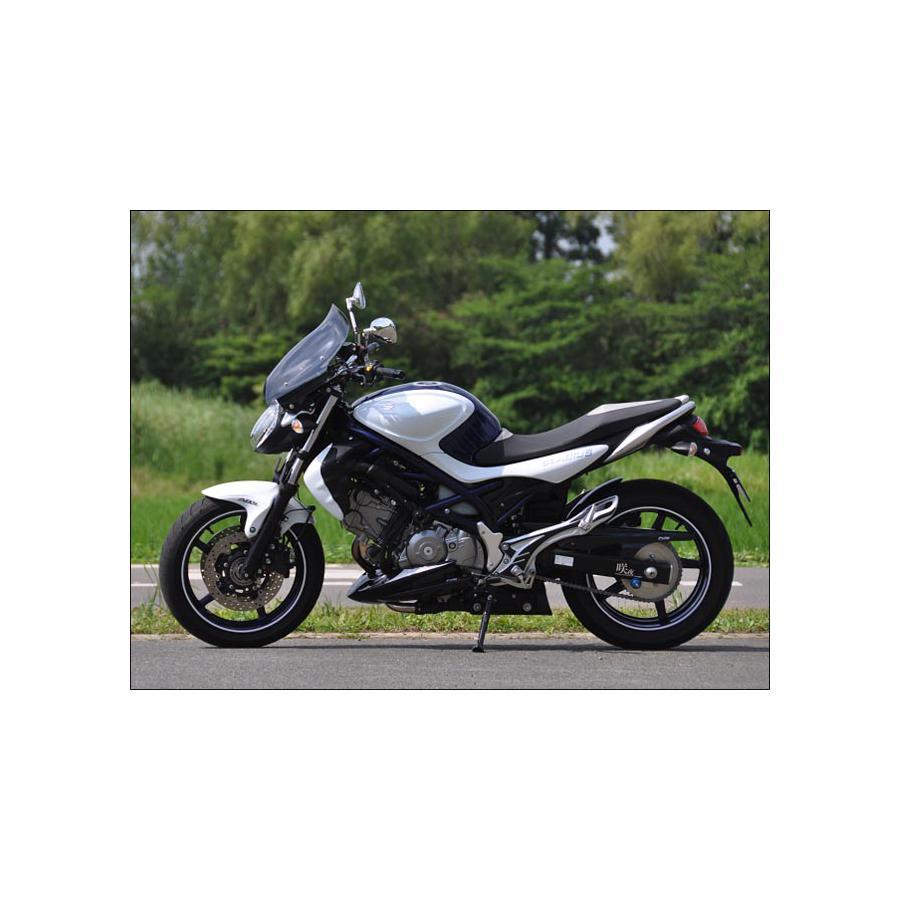 CHIC DESIGN（シックデザイン） GUYRA シールド ガイラシールド