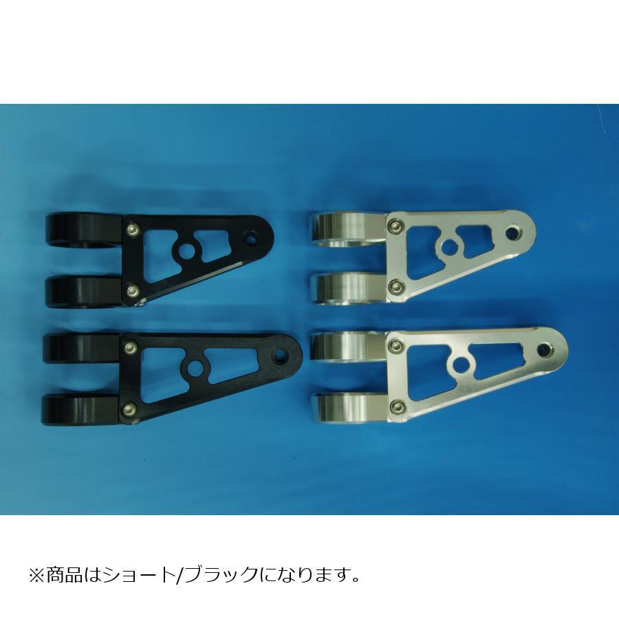 WOODSTOCK(ウッドストック) ヘッドライトステー Dタイプ ショート ブラック フォーク径&Phi;36用 WLS-D36S-BK