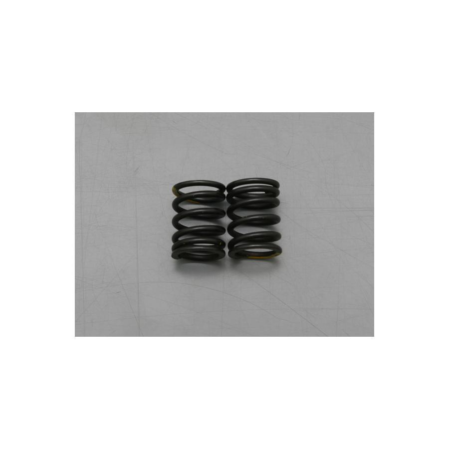 DAYTONA（デイトナ） バルブスプリング 25593用 モンキー/ゴリラ