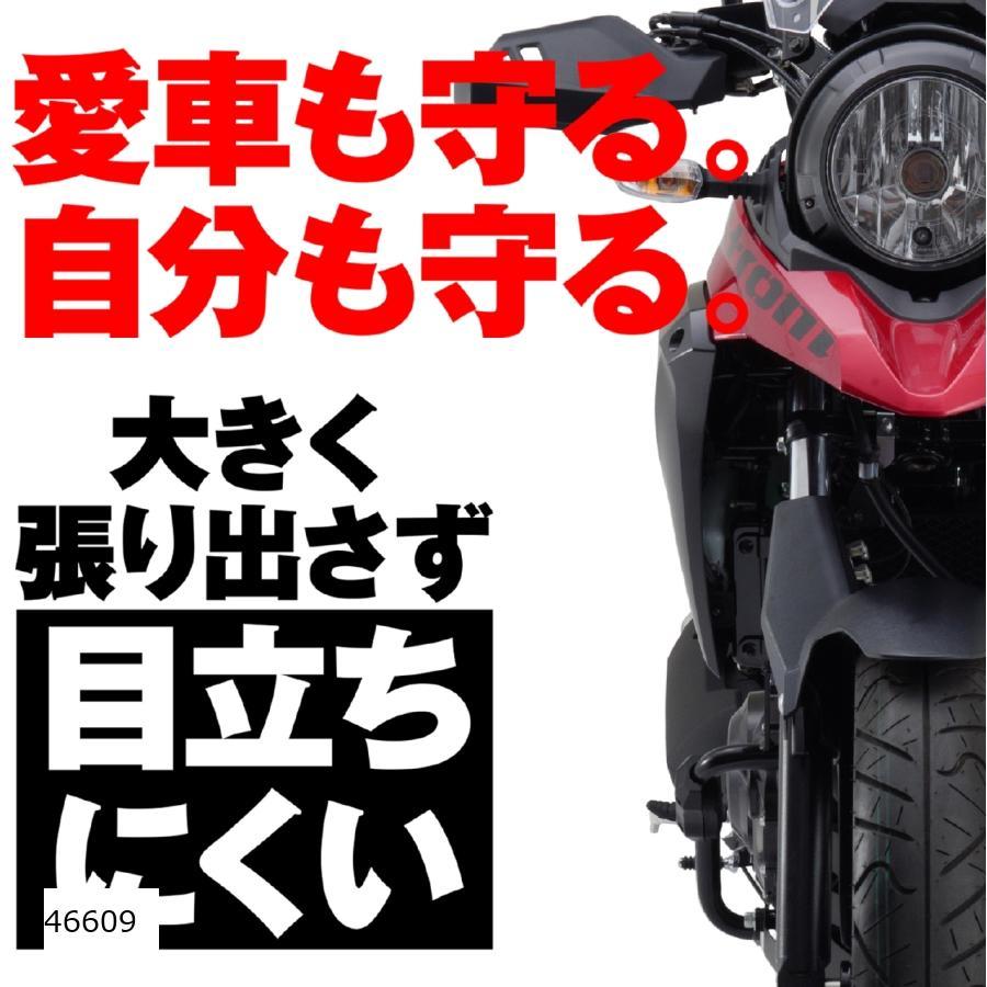 DAYTONA（デイトナ） エンジンガード(ロワー) V-STROM250 46609