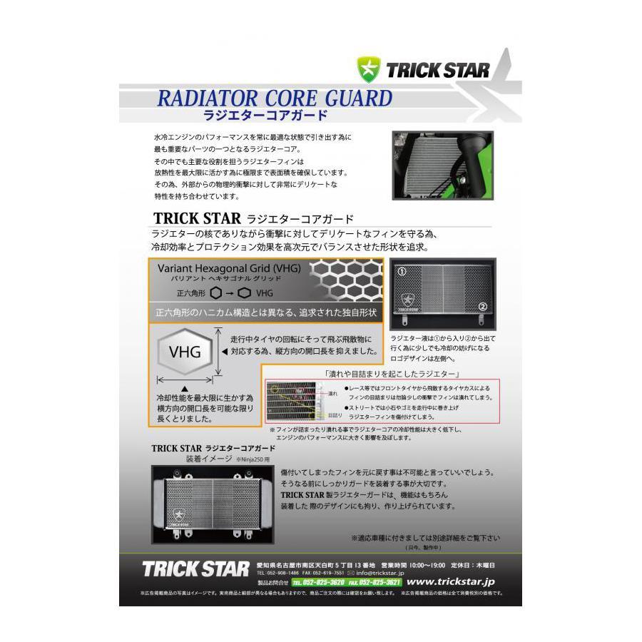 TRICK STAR (トリックスター) ラジエターコアガード ステンレス ブラックメッキ Ninja400 ニンジャ400 Ninja650 /ER-6n VHG-020-BM｜plotonlinestore｜02