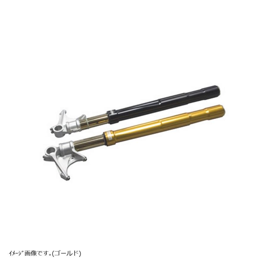 Ohlins オーリンズ フロントフォーク Fgrt0 Fg R T Nix ゴールド R Nine T Fgrt218 1505 Fgrt218 バイク 車パーツ プロト公式ストア 通販 Yahoo ショッピング
