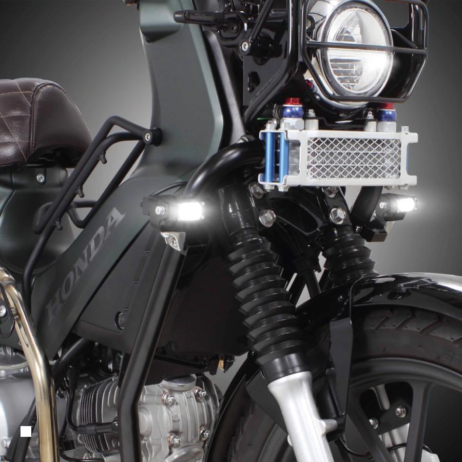 スペシャルパーツ武川 SP武川 (SPタケガワ) LEDスモールフォグランプ