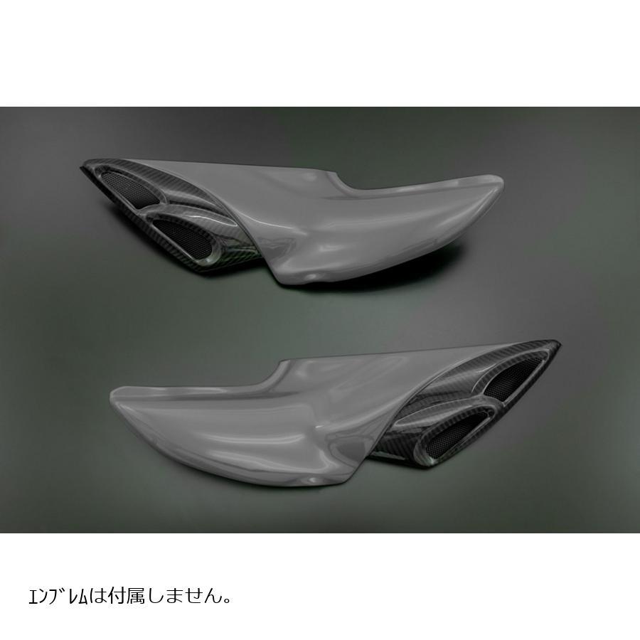 PMC (ピーエムシー) ダブルバブルインテーク Z900RS メタリック